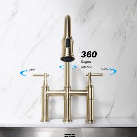 Pull Down Double Handle Kitchen Faucet---dk