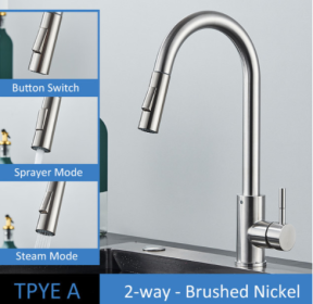 304 Stainless Steel Kitchen Pull-out Faucet (Option: Brushed Nickel-TPYE A)